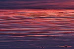 Reflections in wet sand at sunset, Olympic National Park, WA.