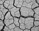 Cracked mud on Cuddeback dry lakebed.  Mojave Desert, CA.