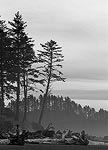 Second Beach, Olympic National Park, WA.