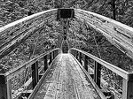 Footbridge over the Middle Fork Snoqualmie River in the Cascade Mountains of Washington.