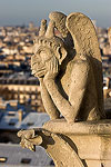 Gargoyle on Notre Dame.  Paris, France.