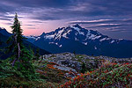 Mt. Shuksan at dawn.  Mt. Baker Wildernes, WA.