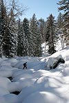 Snowshoeing after a storm in Steamboat, CO.