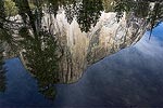 Reflection of El Capitan in the Merced River.  Yosemite National Park, CA.