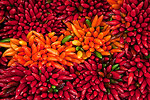 Colorful peppers bundled and stacked for sale in a produce market in Venice, Italy.