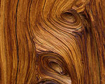 Swirls in a dead tree along the North Fork of Pig Pine Creek.  Big Pine, CA.